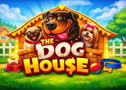The Dog House